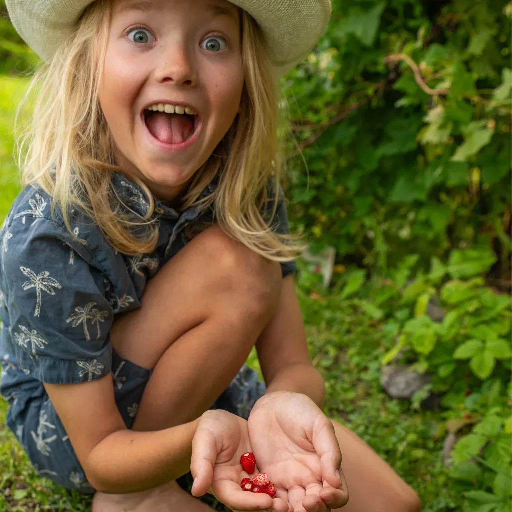 Garden visit: Tanja's down-to-earth and edible garden