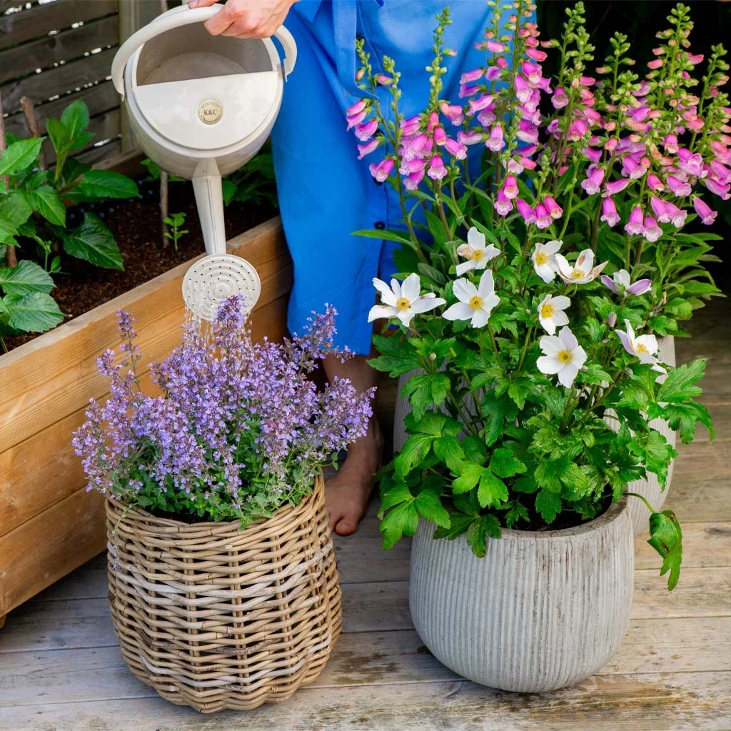 Garden visit: Classic and timeless garden at Therese's