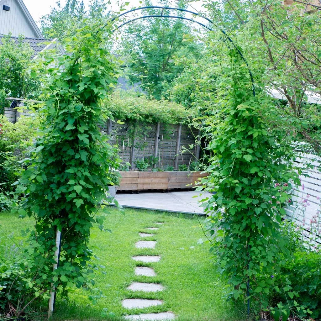 Garden visit: Classic and timeless garden at Therese's
