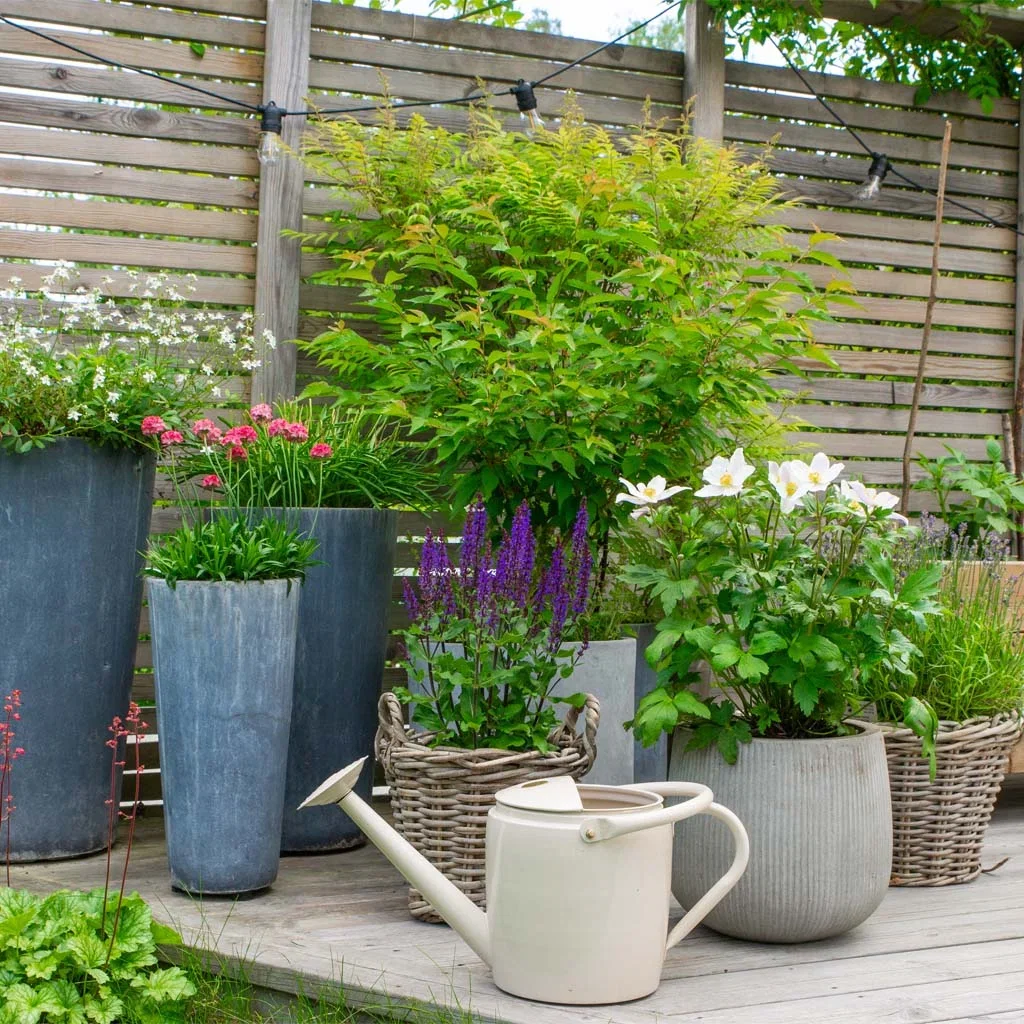 Garden visit: Classic and timeless garden at Therese's