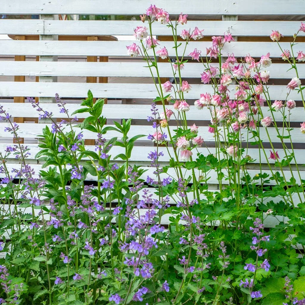 Garden visit: Classic and timeless garden at Therese's