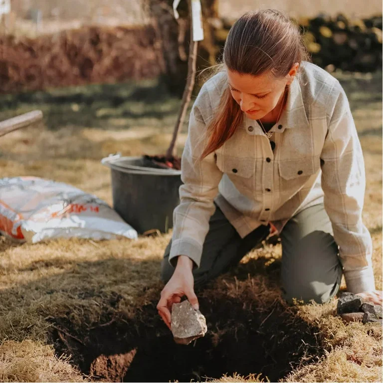 This is how you plant fruit trees - the gardener's best tips