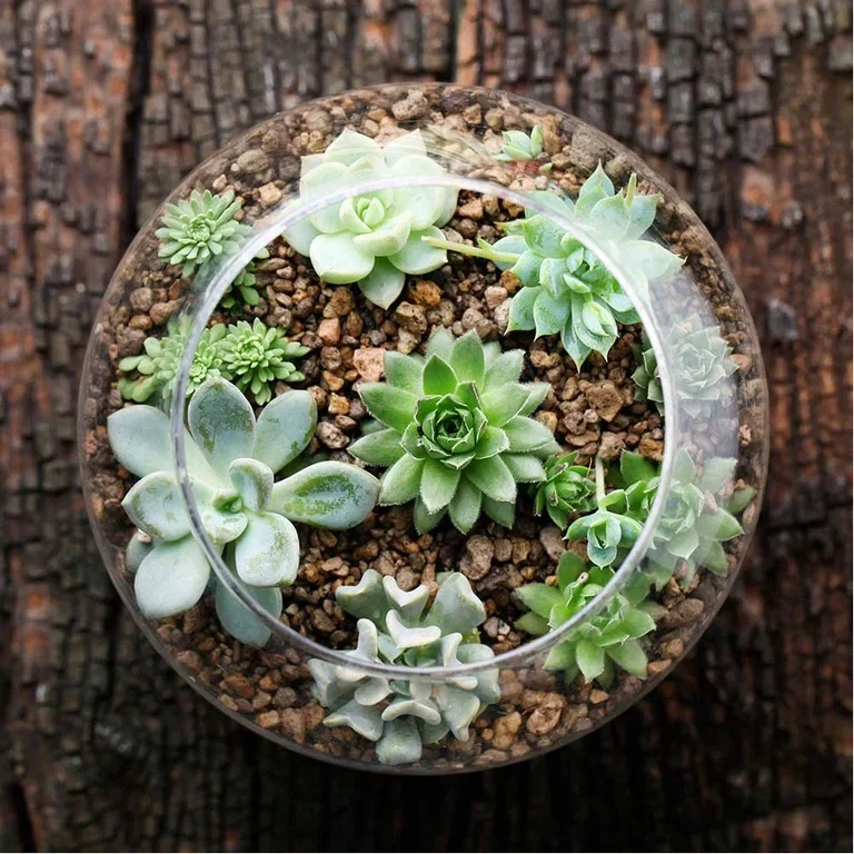 Decorative stones outdoors and indoors – take your garden and home to a new level