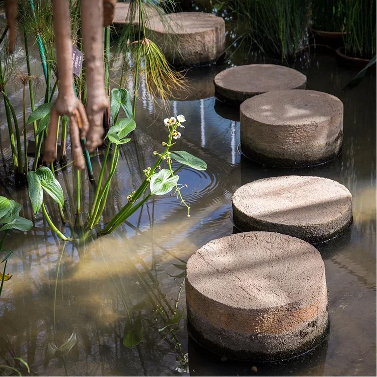 Making a garden path – how to build a path in the garden