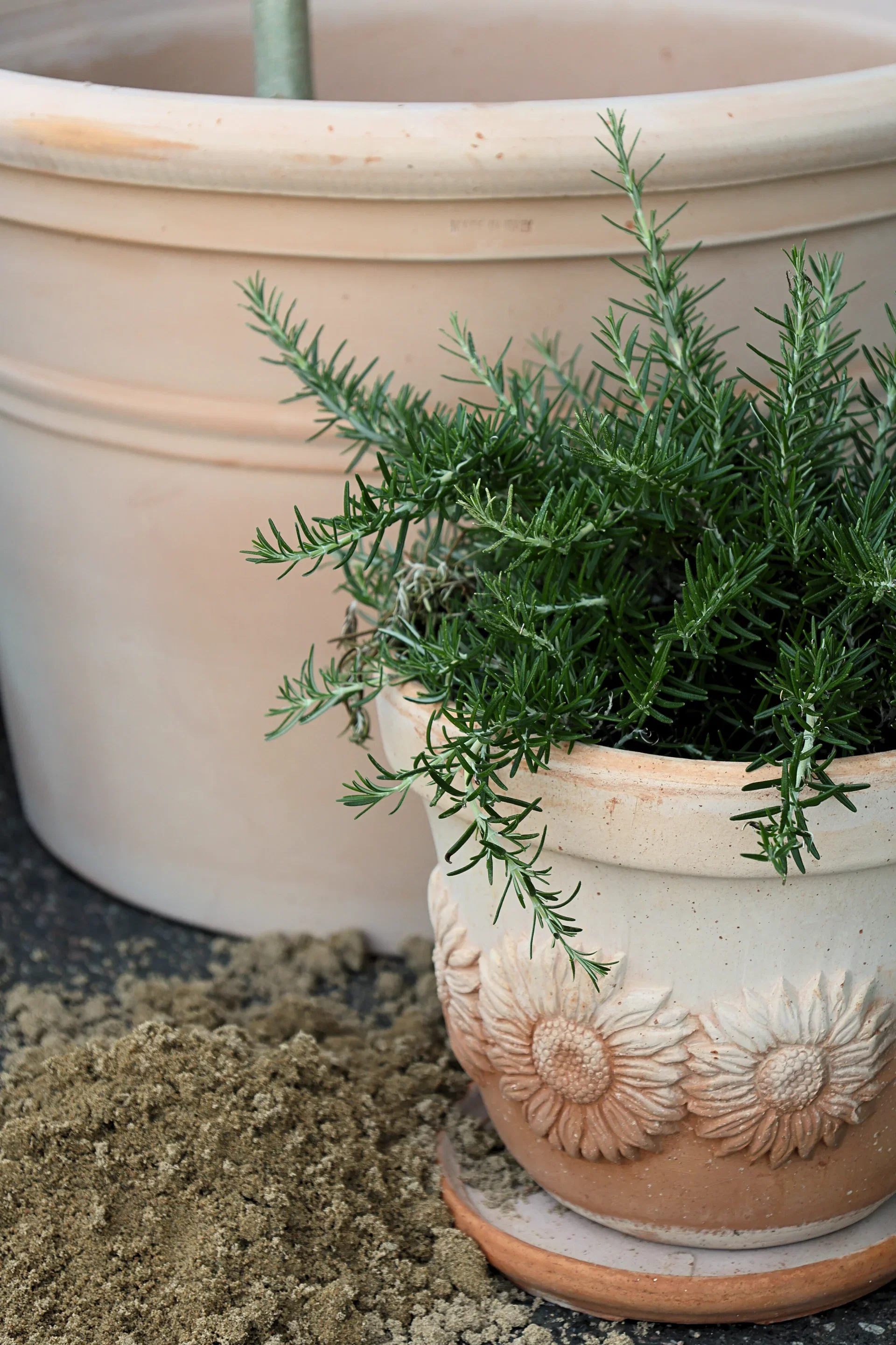 Girasole pot D25 terracotta