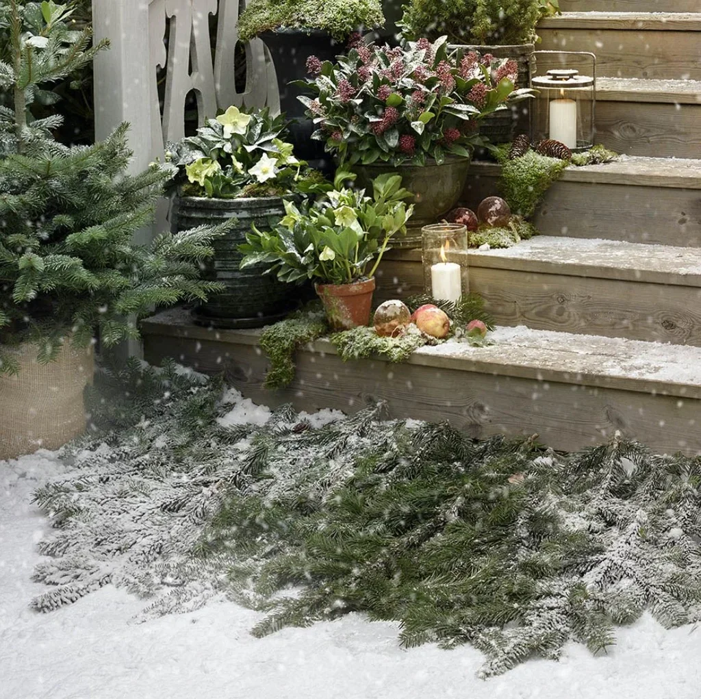 Cram the entrance with different varieties of colorful plants.