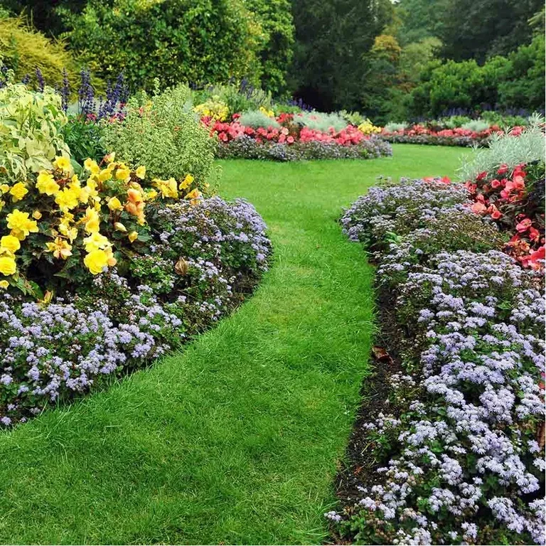 Garden plants - elevate the garden to a new level.