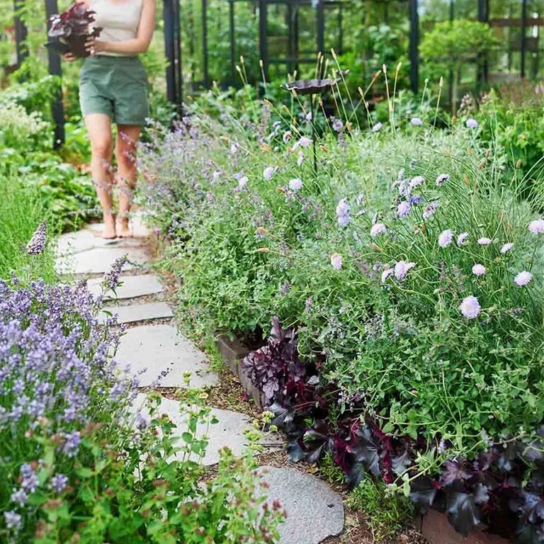 Garden plants - elevate the garden to a new level.