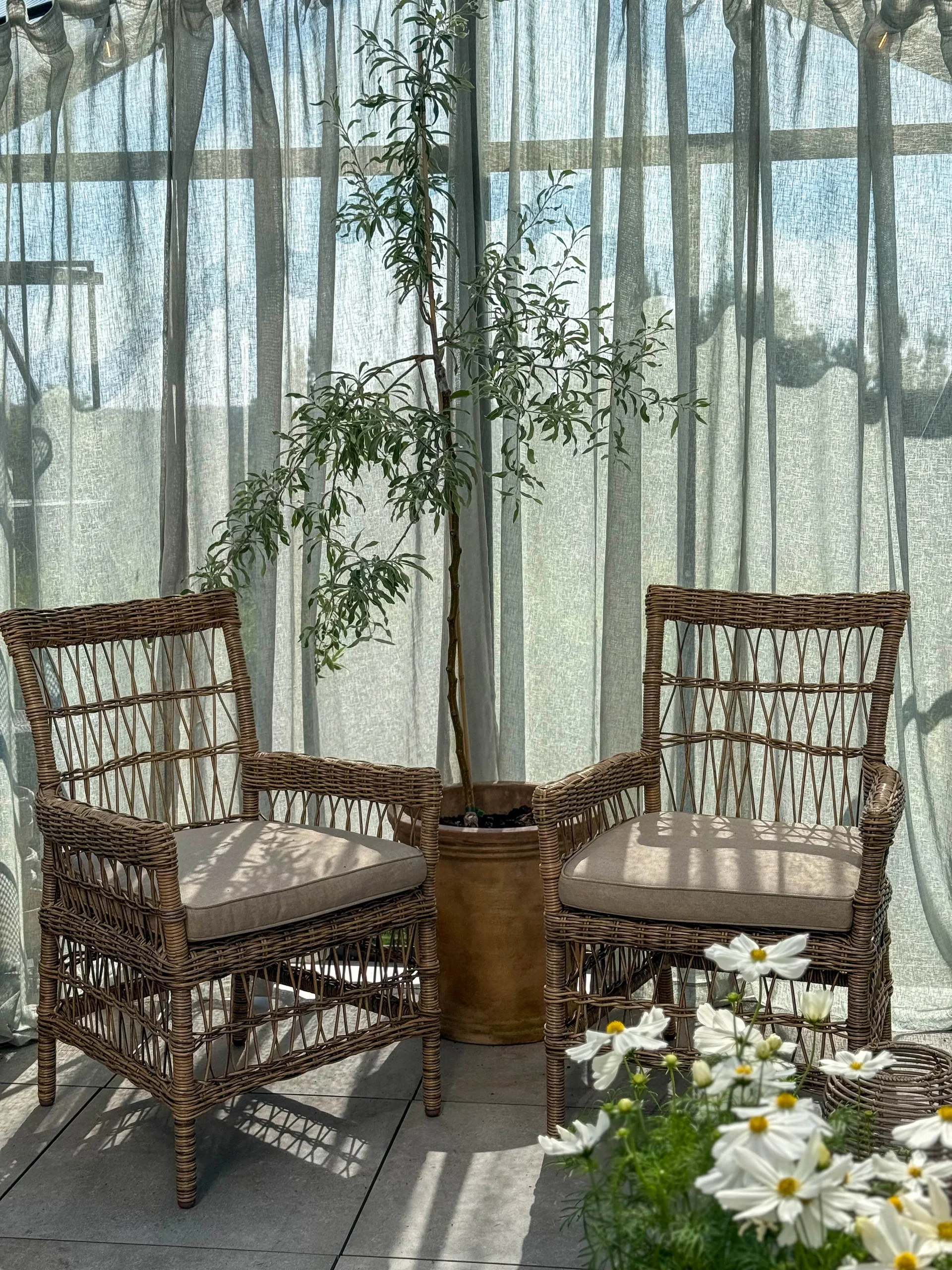 Dining Chair Hvaler