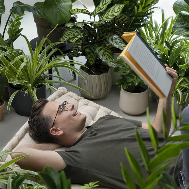 Low maintenance plants