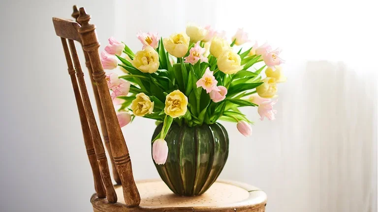 Cut flowers - how to succeed