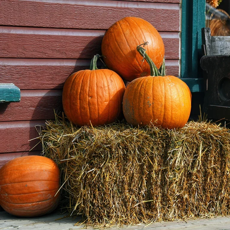 Pynta entrén inför Halloween - kuslig stämning med enkla medel 