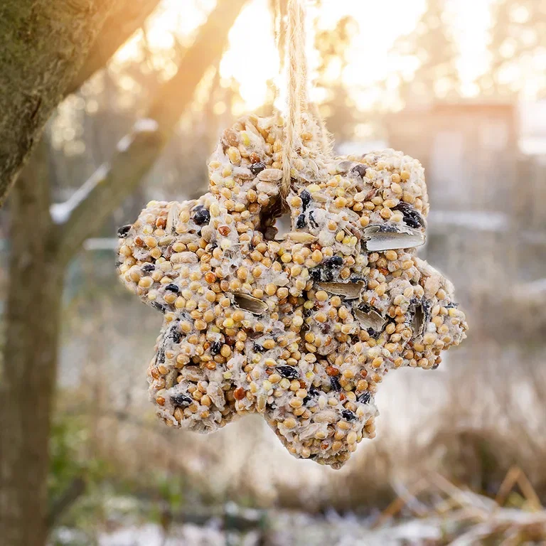 Bird food that gives joy