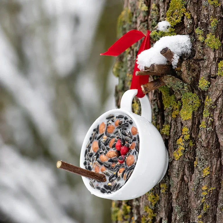 Bird food that gives joy