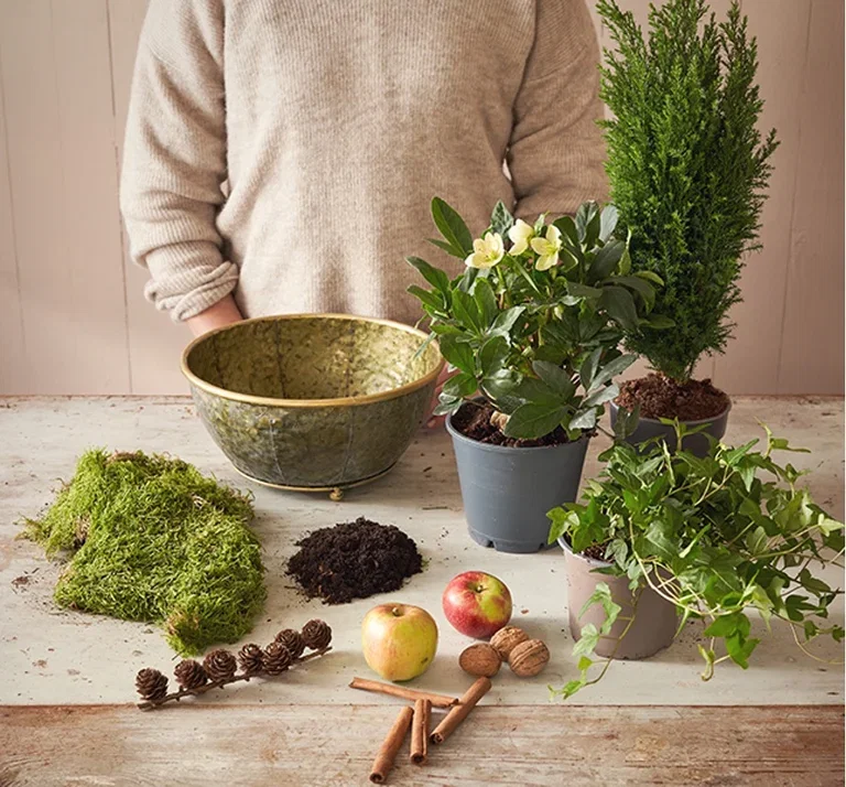 Create Your Own Christmas Arrangement