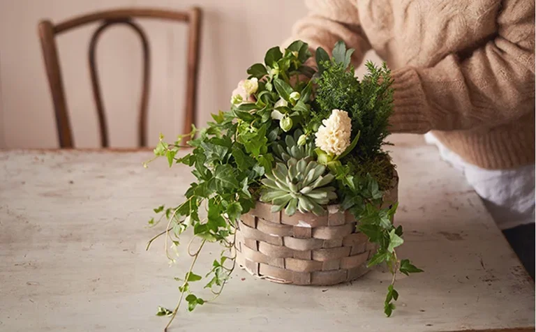 Create Your Own Christmas Arrangement