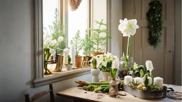 Christmas flowers that create a festive atmosphere