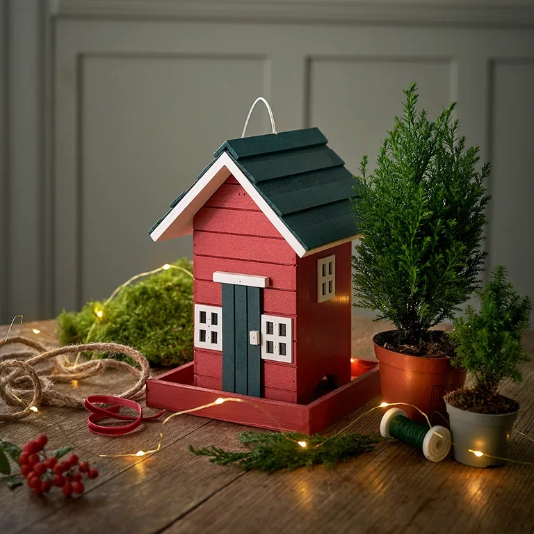 Bird food that gives joy