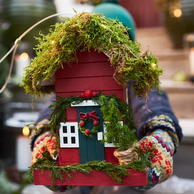 Bird food that gives joy