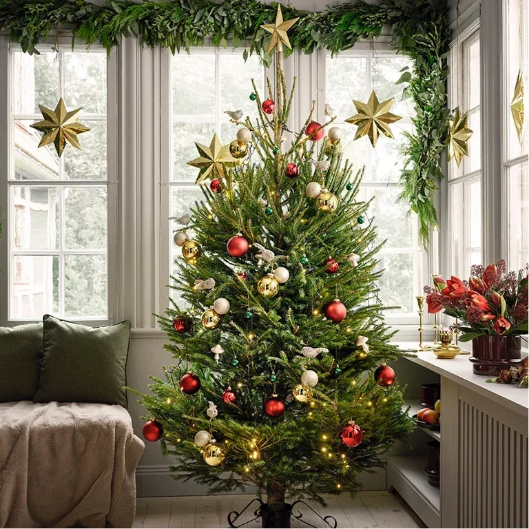 Give new life to Christmas flowers – repot or plant outdoors
