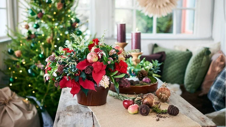 Christmas decorations with plants