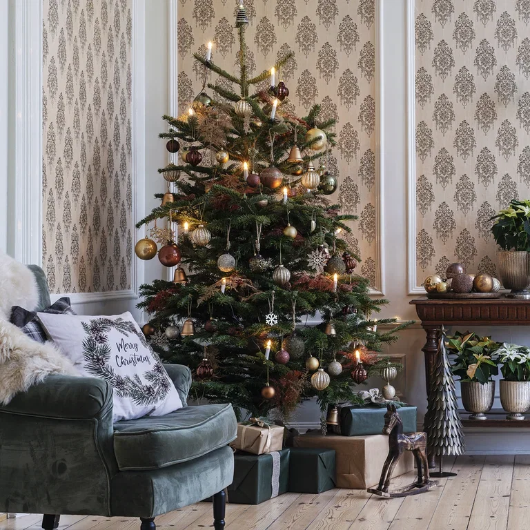 How to Care for Your Christmas Tree – Tips and Advice