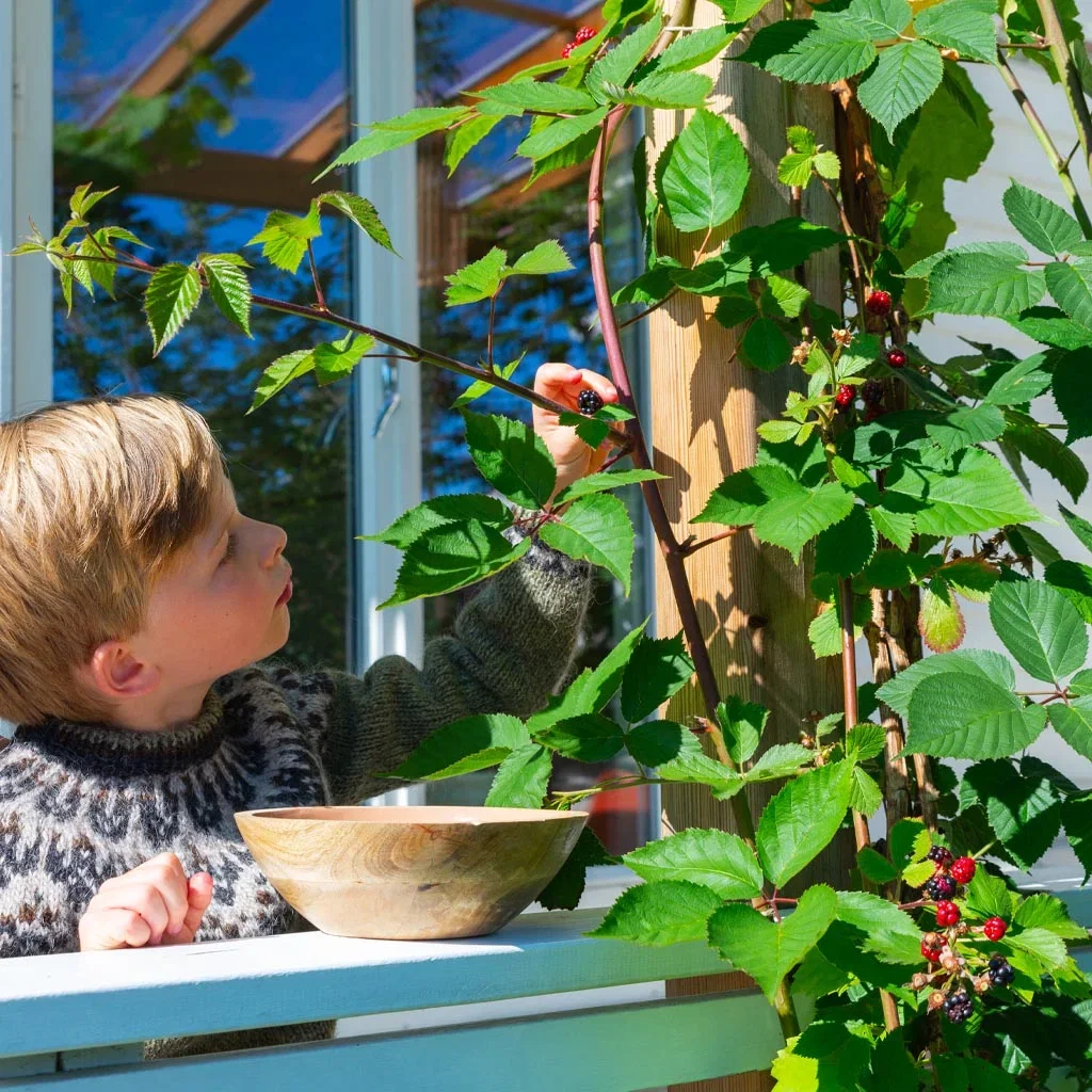 Sensommer i Thereses klassiske hage i Bærum
