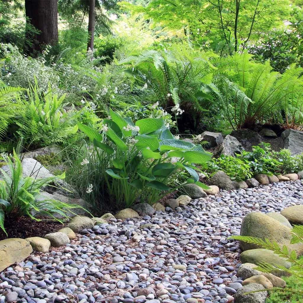 Making a garden path – how to build a path in the garden