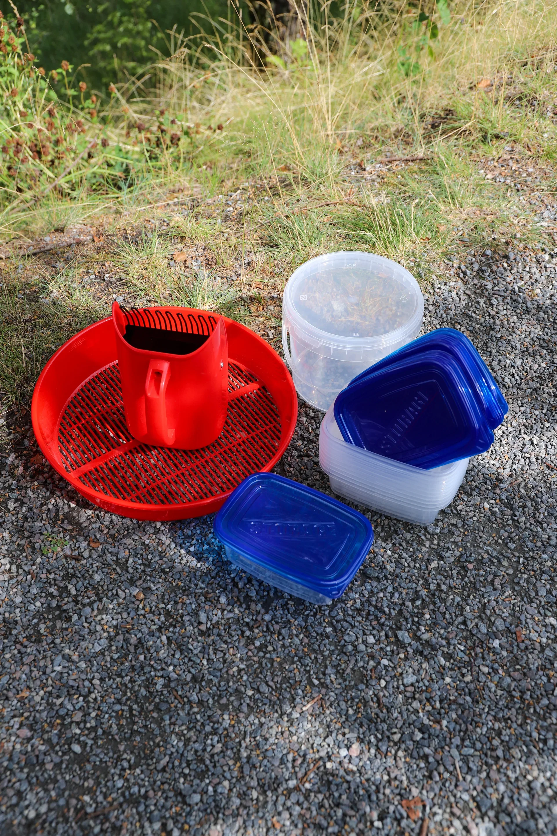Berry Bucket