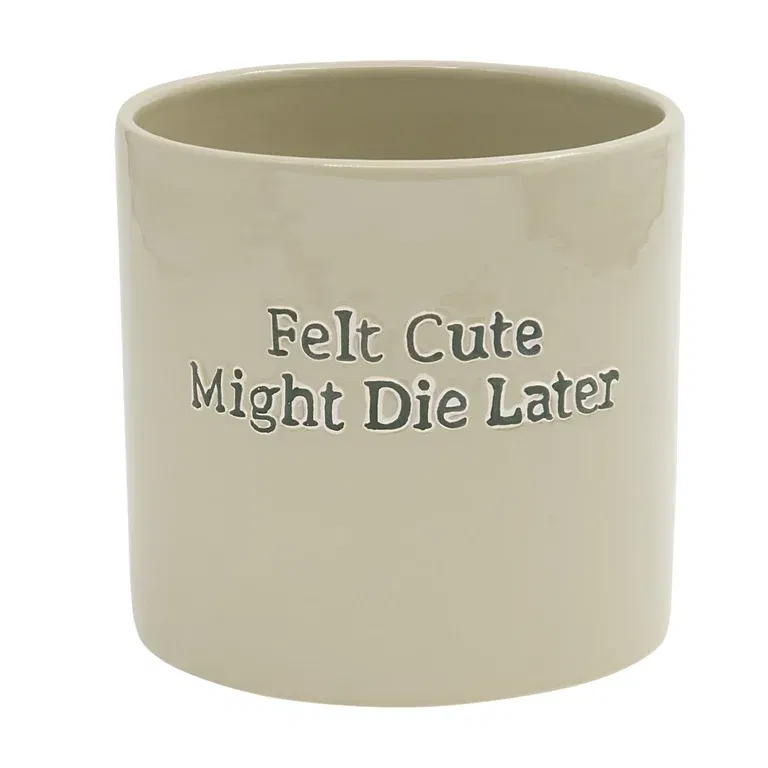 Kruka Felt Cute Might Die Later