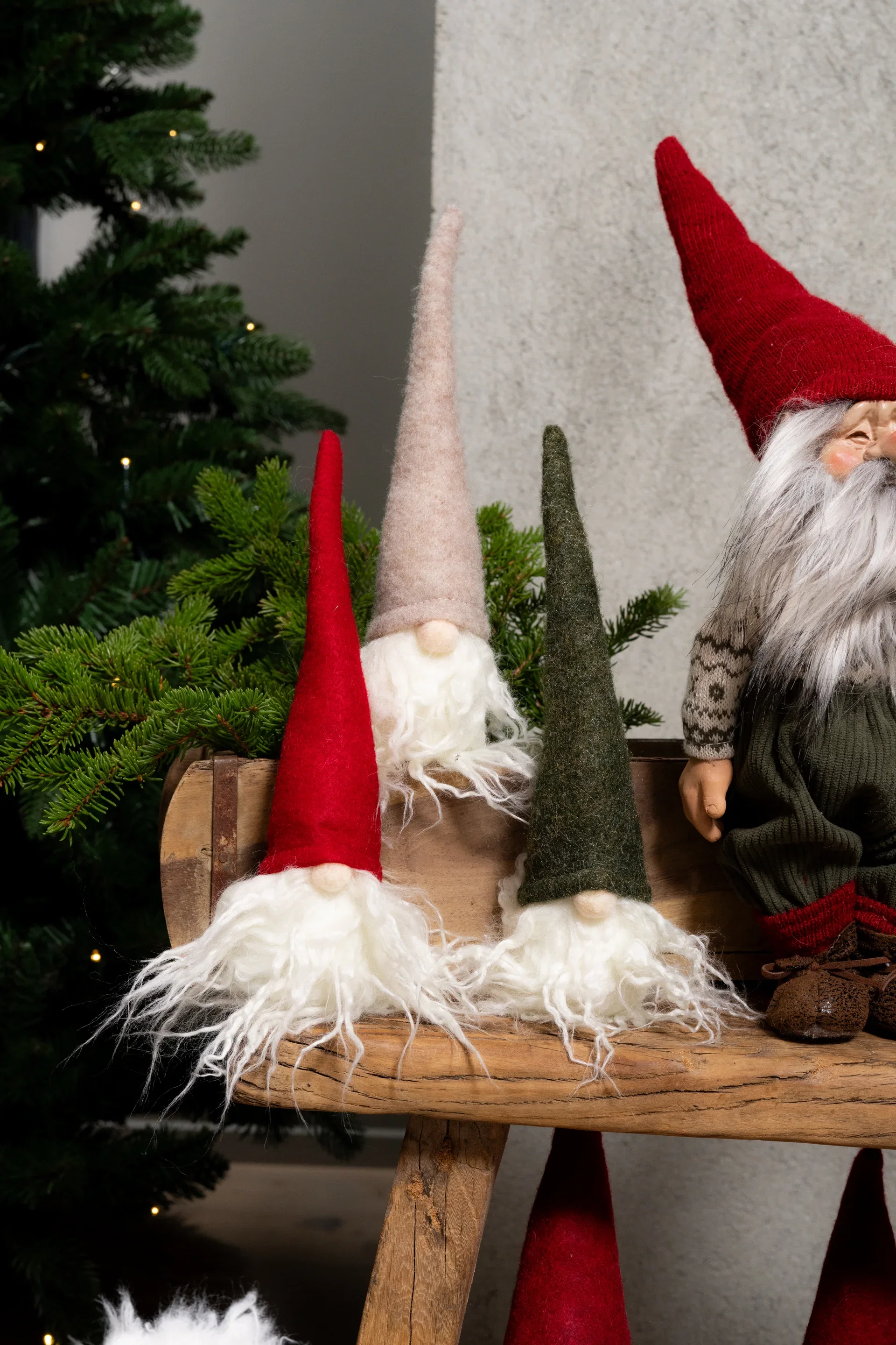 Tomte Brutus