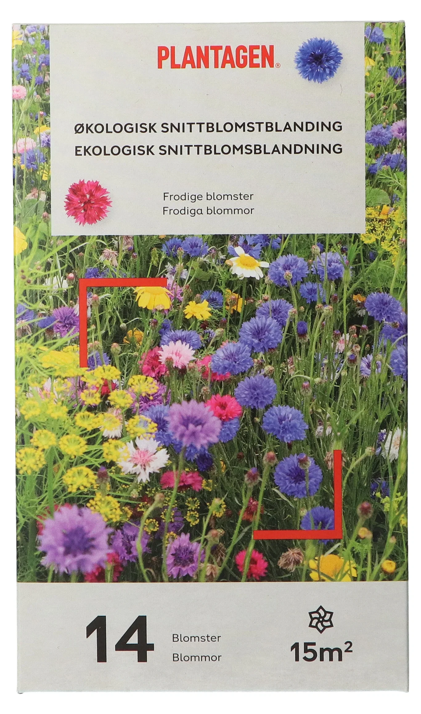 Ekologisk snittblommeblandning