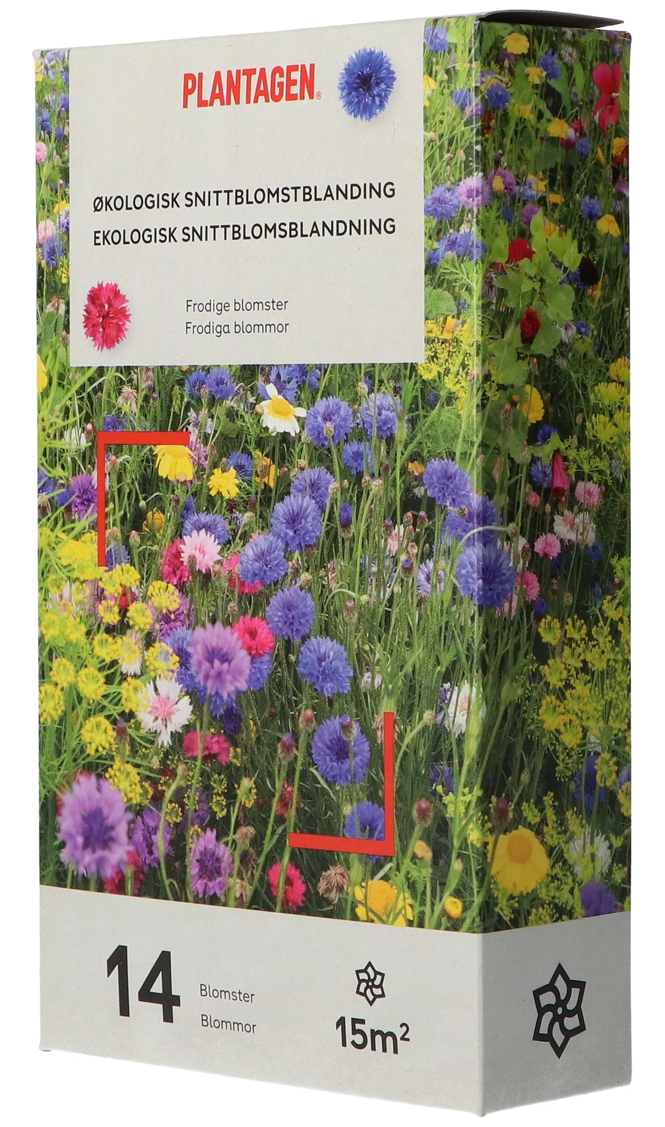 Ekologisk snittblommeblandning