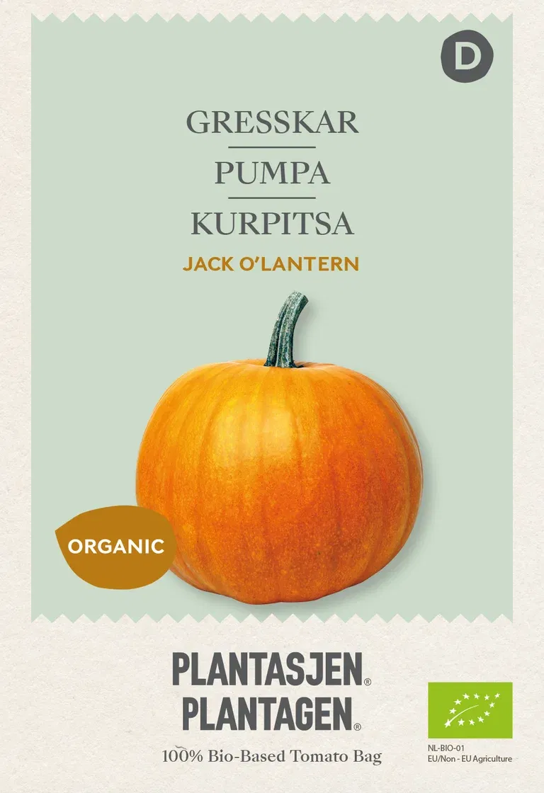 Pumpa 'Jack O'lantern'