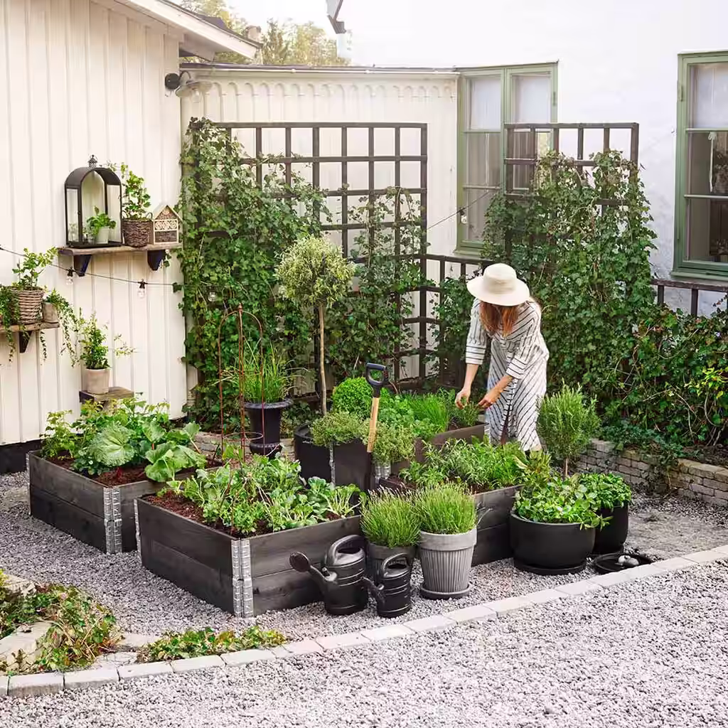 Skapa en köksträdgård