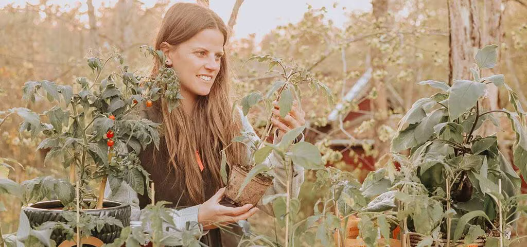 Garanterad odlingsglädje med förodlade grönsaksplantor