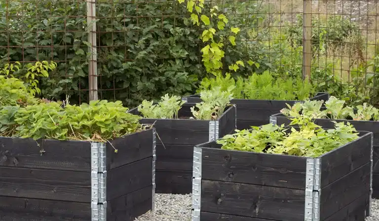 Så här bygger du din pallkrage