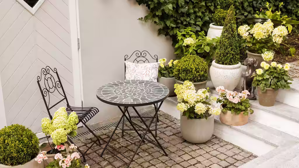 Plantasjen lanserar ny trädgårdsform som hjälper dig att hitta din trädgårdsstil