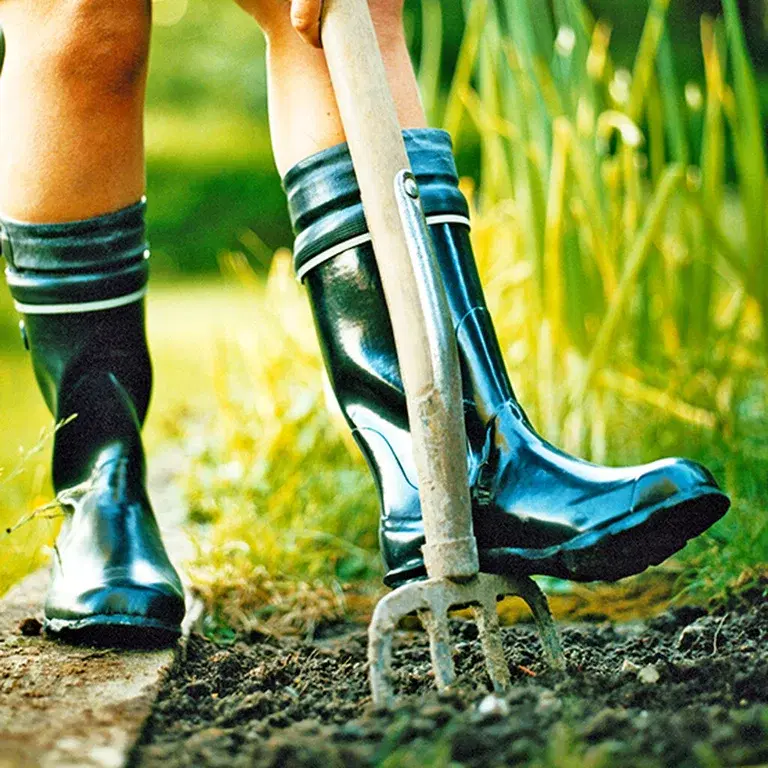 Allt om trädgårdsredskap