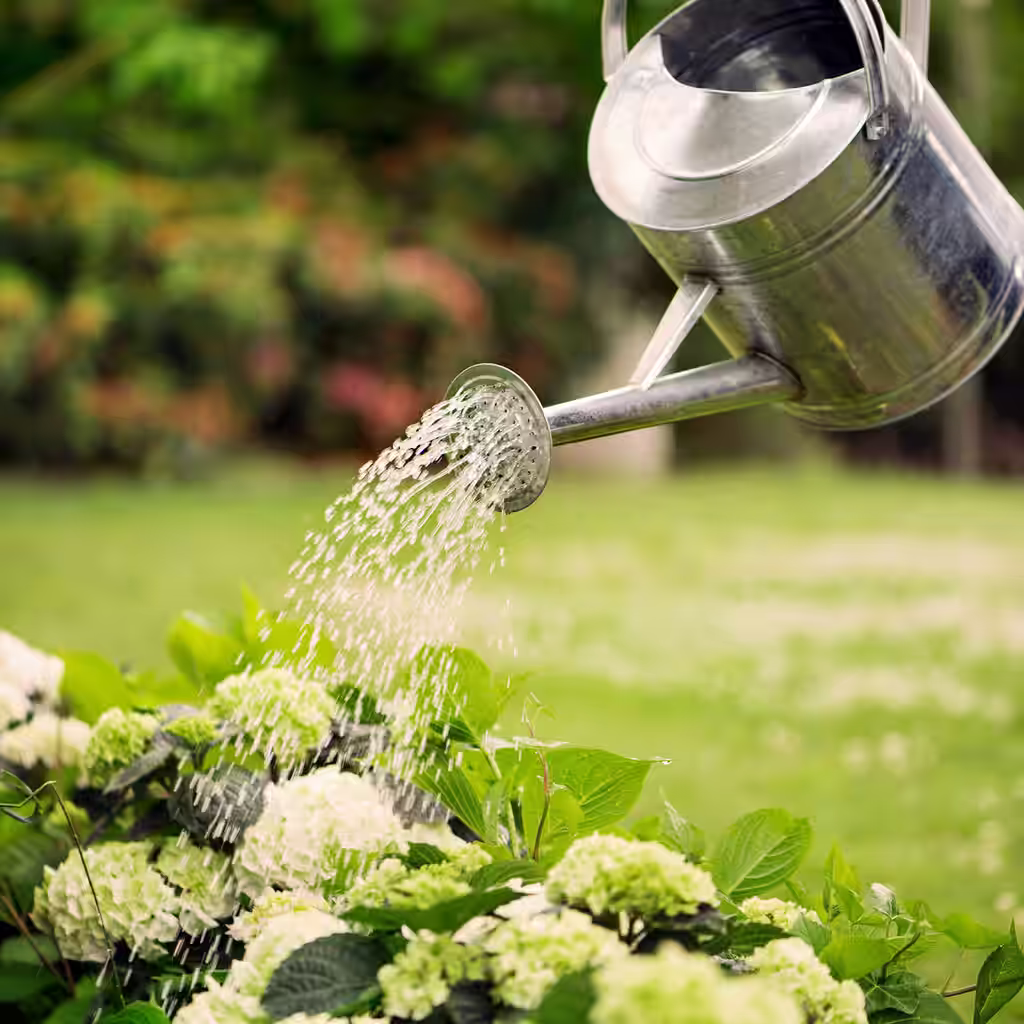 Så förbereder du trädgården inför semestern