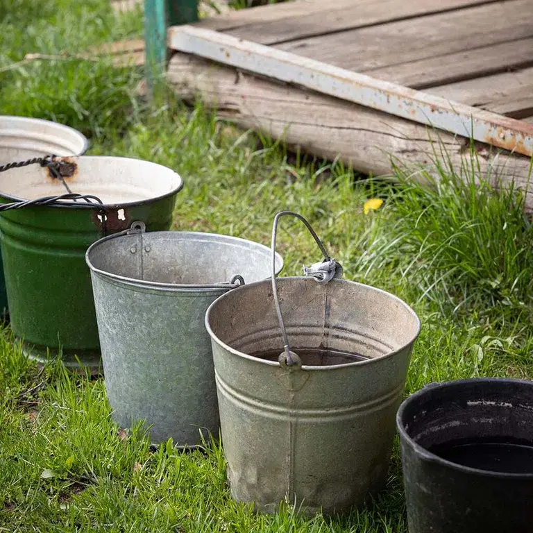 Bevattningsförbud - Så får du växterna att överleva