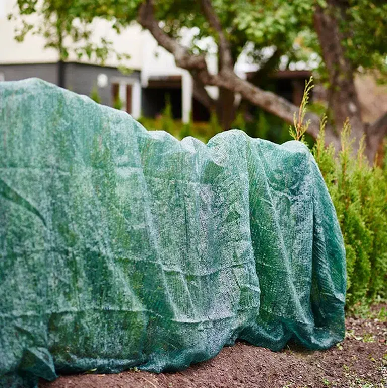 Vintertäckning av växter