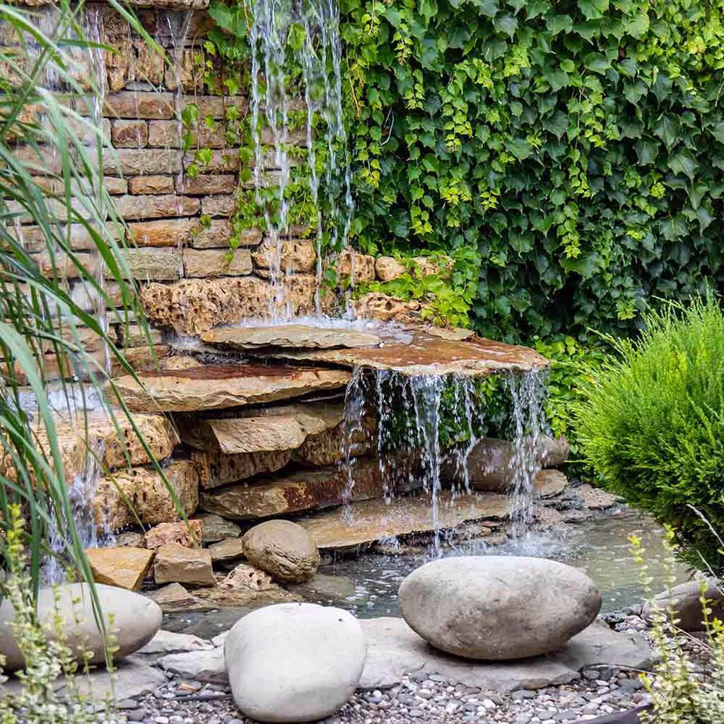 Bygga damm: Så anlägger du en damm i trädgården