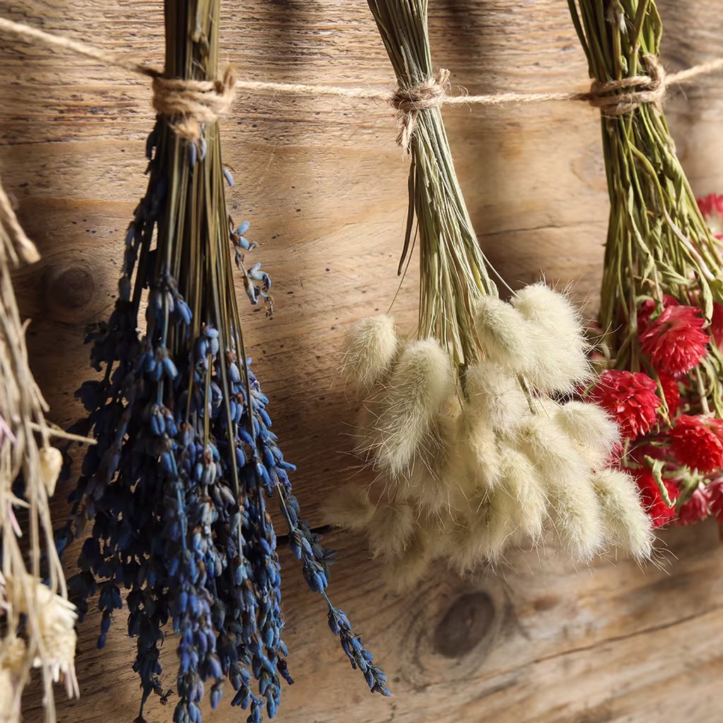 Torka blommor till vackra buketter och kransar som håller över tid