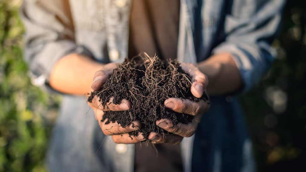 Återvinn jorden i pallkragar och krukor