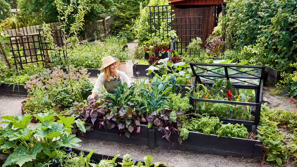 Trädgård som terapi