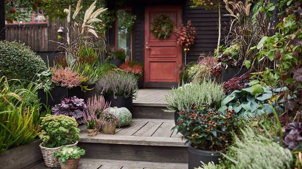 Gör höstfint på balkong, altan och vid entré