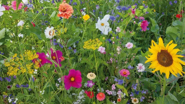 Så överlever trädgården semestern