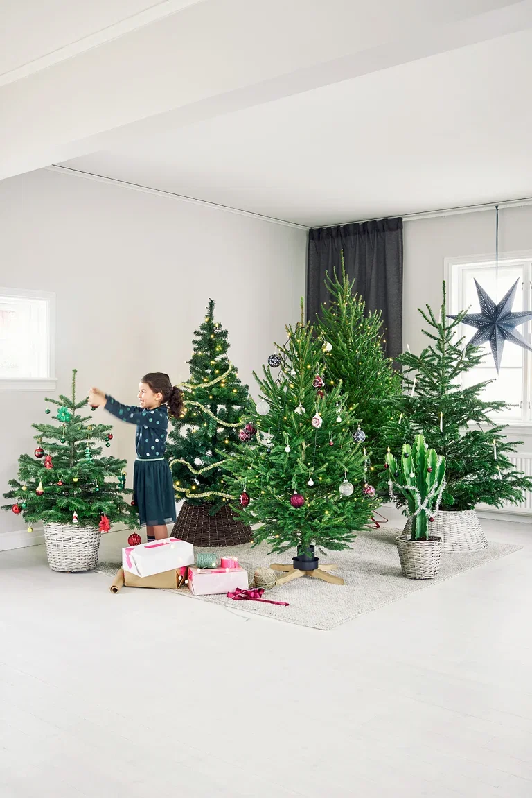 Kungsgran Excellent 190-220 cm