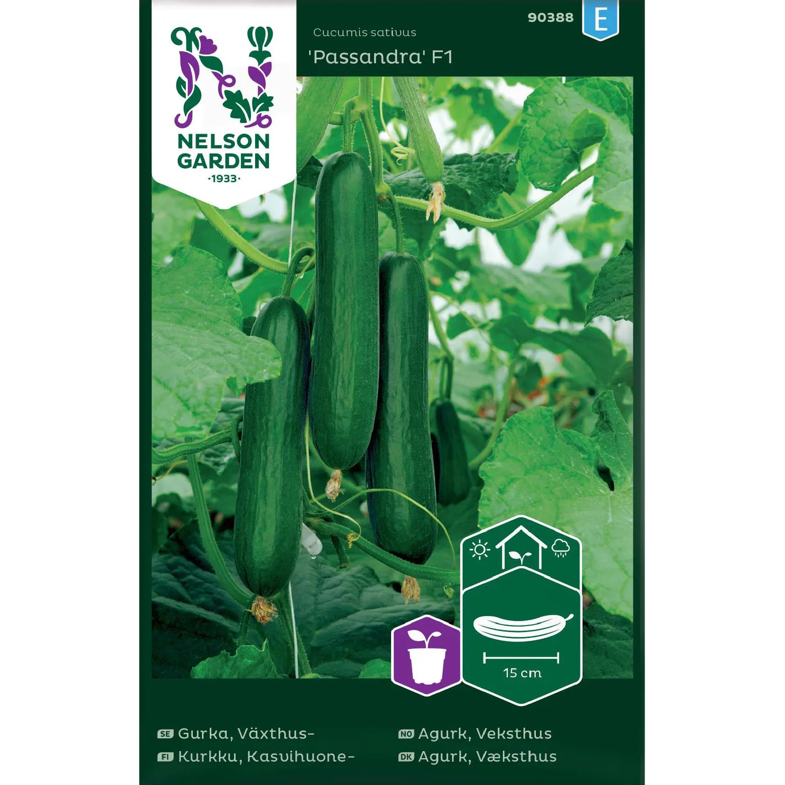 Slanggurka, kort 'Passandra' F1